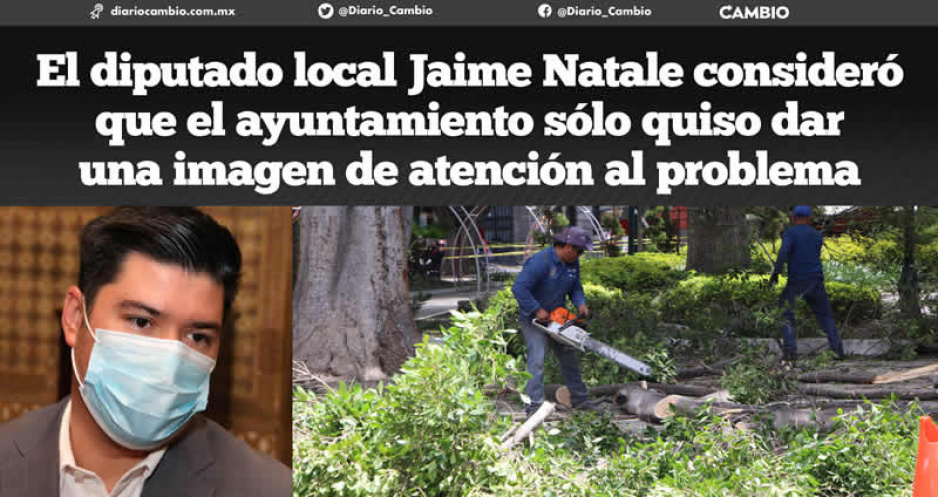 Tala de árboles del zócalo debió contar con un análisis profundo: Natale Uranga (VIDEO)