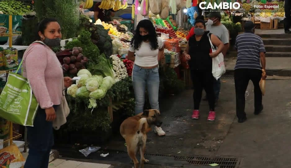 Más del 50% de los poblanos no gana suficiente para comprar la canasta básica