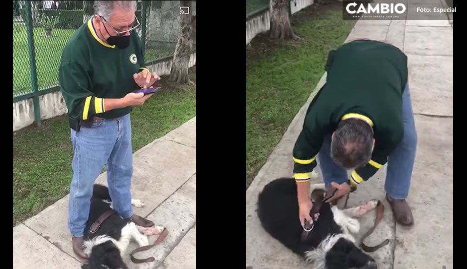 VIDEO: Desalmado arrastra a su perrito herido en Los Volcanes, si lo conoces ¡denúncialo! 