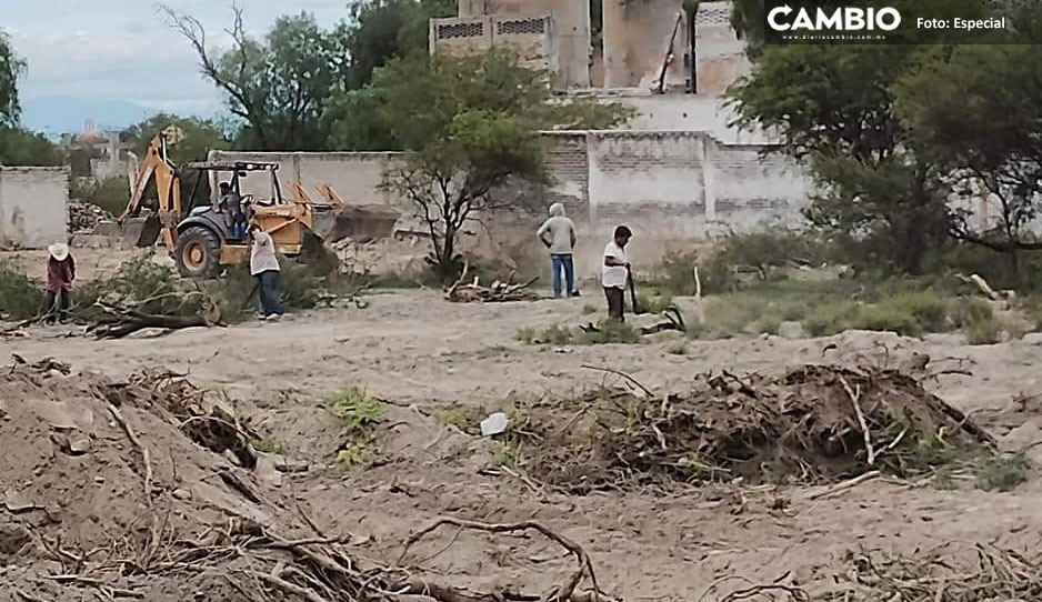 Acusan al Ayuntamiento de Tehuacán de talar árboles para realizar pelea de gallos