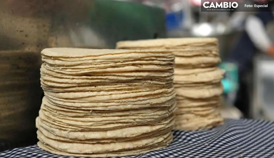 ¡Pa su mecha! Hasta 20 pesos cuesta el kilo de tortilla en algunos estados de México