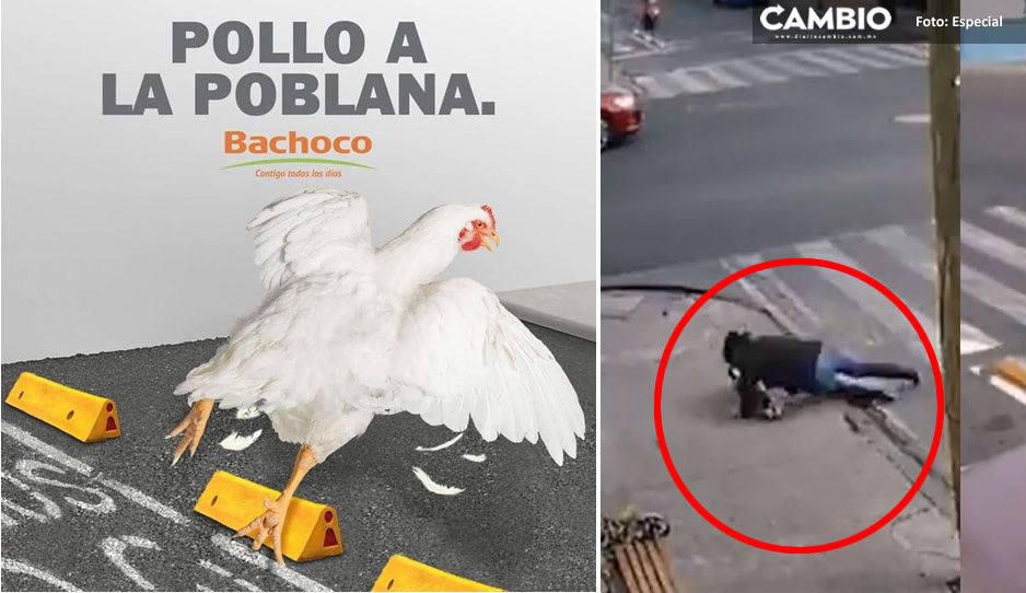 Bachoco se sube al tren y también se burla de los poblanos en la Ciclopista de la Muerte