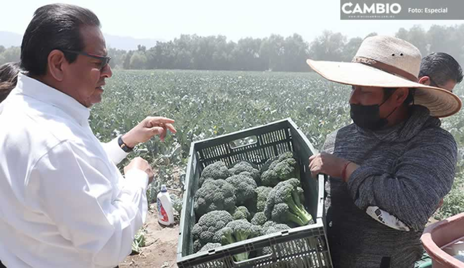 Huachidiputado Carlos Navarro, regresa al Triángulo Rojo tras apadrinar a los Toñines