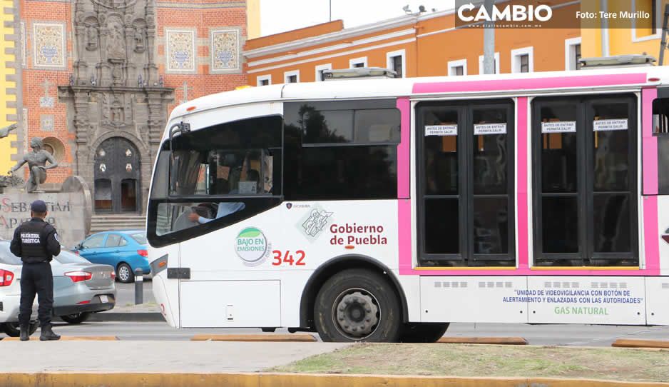 COVID mata ingresos de RUTA: van de bajada de 2019 a 2021