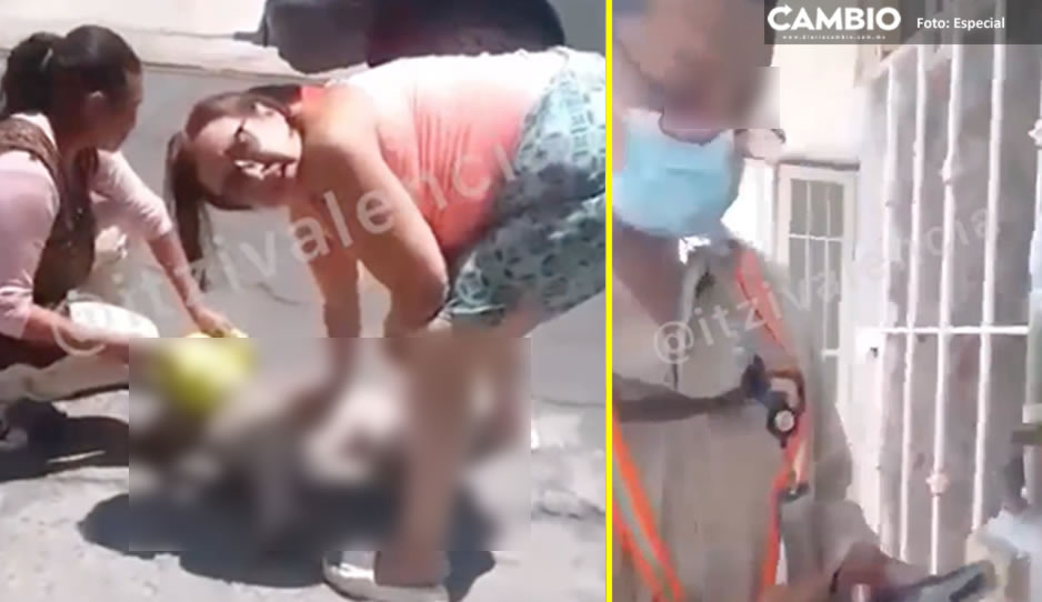 ¡Loco! Trabajador de CFE apuñaló a una perrita en Momoxpan (VIDEO)