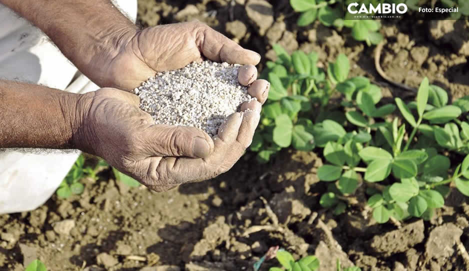 Con el programa &quot;Fertilizantes Gratuitos&quot; se han beneficiado a 28 mil personas en Puebla