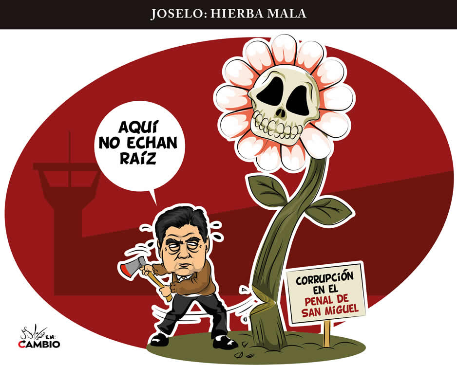 Monero Joselo: HIERBA MALA