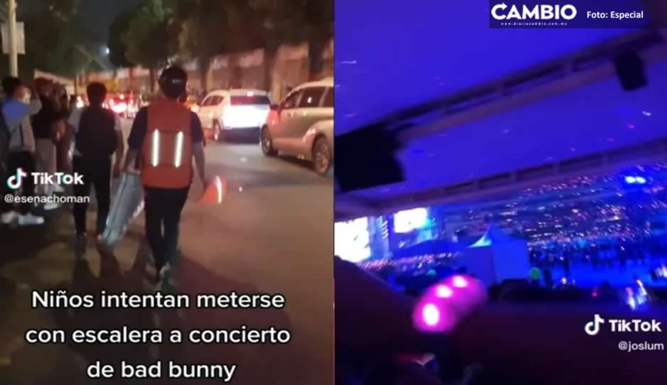 Fans presumen que se &quot;colaron&quot; a concierto de Bad Bunny fingiendo ser trabajadores (VIDEO)