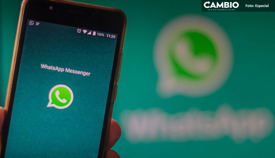 WhatsApp Business API Search, la nueva función de WhatsApp para negocios