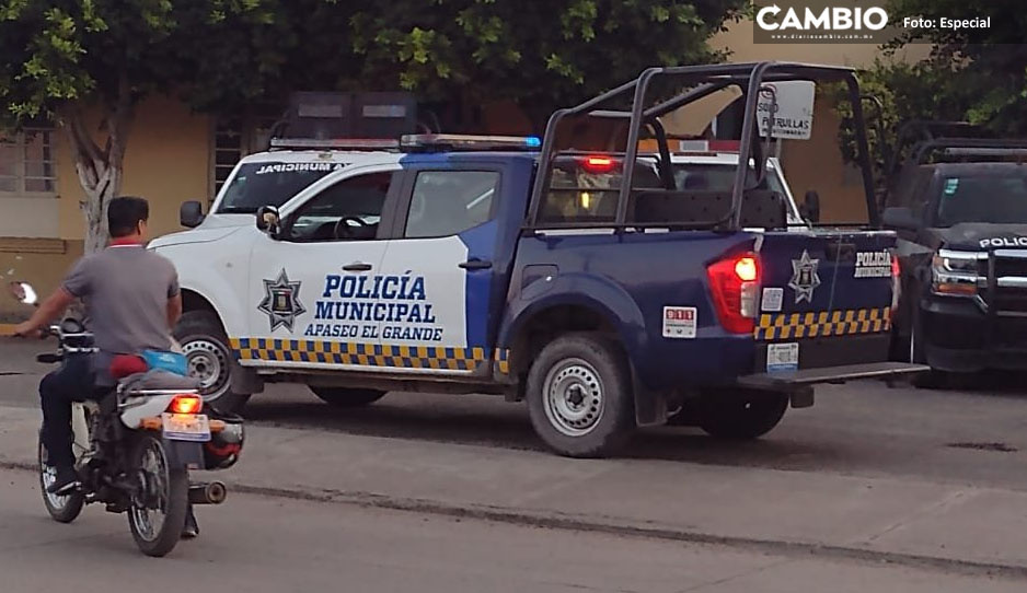 Denuncian a policías municipales de Celaya que matan a perros por diversión