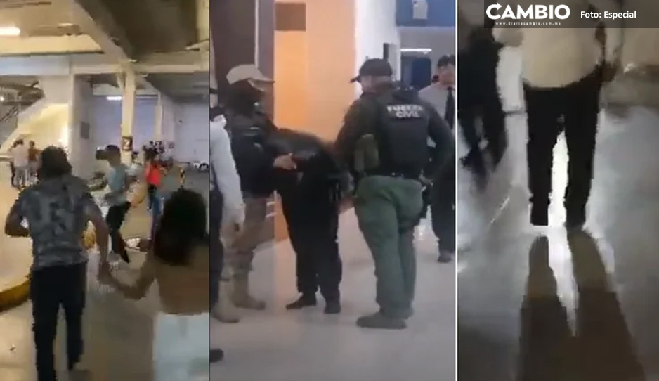 Reportan balacera durante estreno de Avatar 2 en cine de Veracruz (VIDEO)