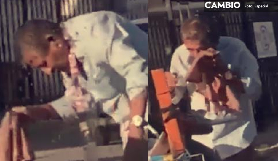 ¡Cuando los animales atacan! Enjambre de abejas pican a abuelito dentro de un parque (VIDEO)