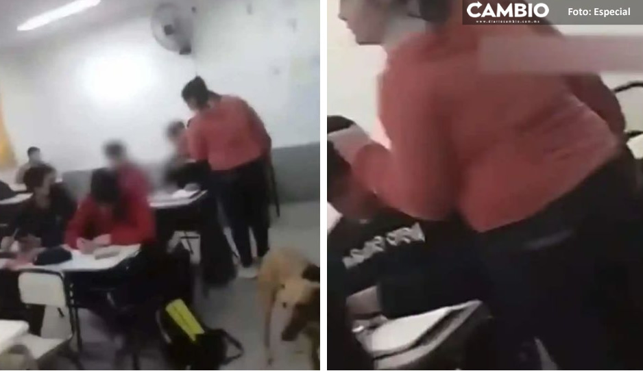 “No me lo toca nadie”: mamá interrumpe clase y reclama a compañero de su hijo por amenazarlo (VIDEO)