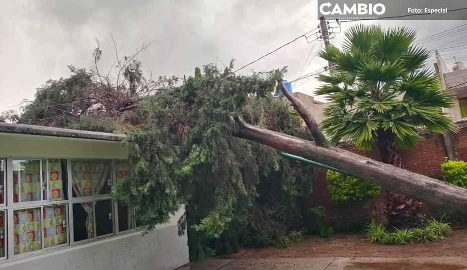 Árboles caídos, calles inundadas y vehículos afectados fue el saldo de la tormenta Karl en Puebla