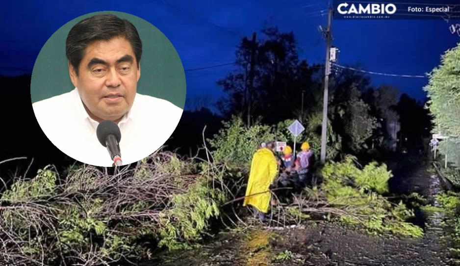 Conagua debe autorizar la rehabilitación de puentes dañados por el Huracán Grace, Barbosa
