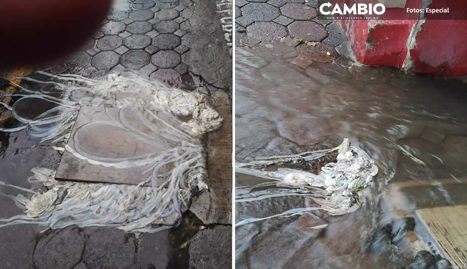 Angélica Alvarado solapa contaminación en Huejotzingo, brotan vísceras del drenaje