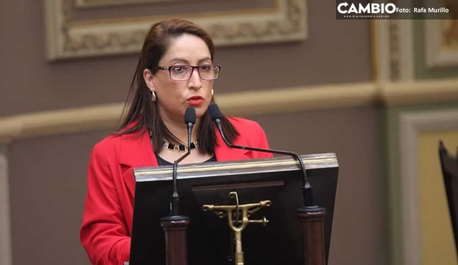 Para la despenalización del aborto, falta escuchar a los hombres: diputada del PT (VIDEO)