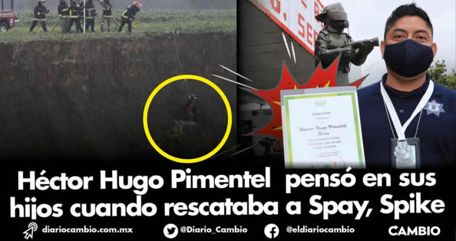 El héroe del año: este es el bombero que rescató a los perritos del socavón (FOTOS Y VIDEOS)