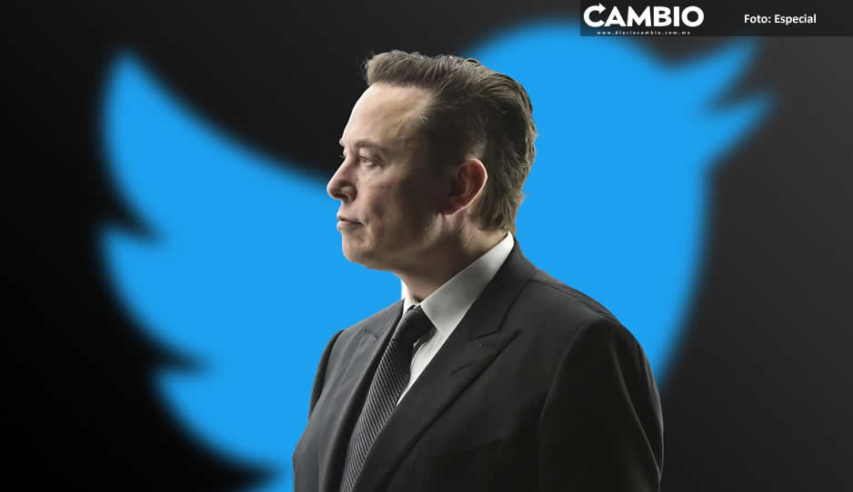 Usuarios de Twitter votan para que Elon Musk deje la red social
