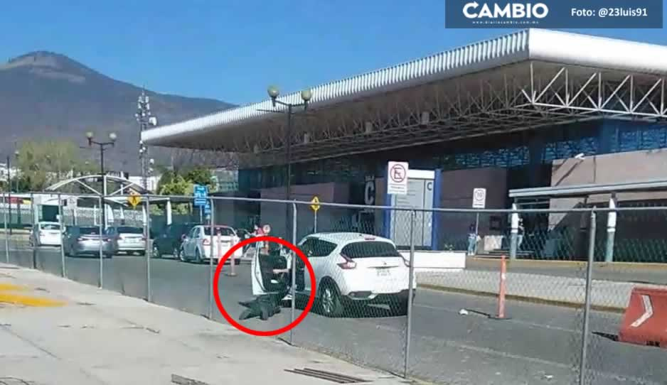 VIDEO: Conductor arrastra y atropella a policía de Central de autobuses