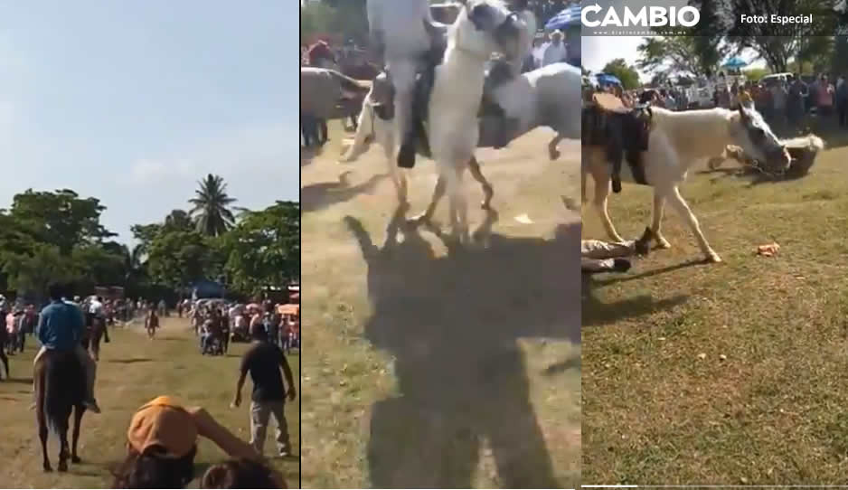 FUERTE VIDEO: Jinete cae fulminado tras ser embestido durante carrera de caballos