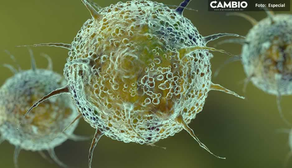 ¡Ya tiene nombre! La nueva variante del Covid se llama OMICRON