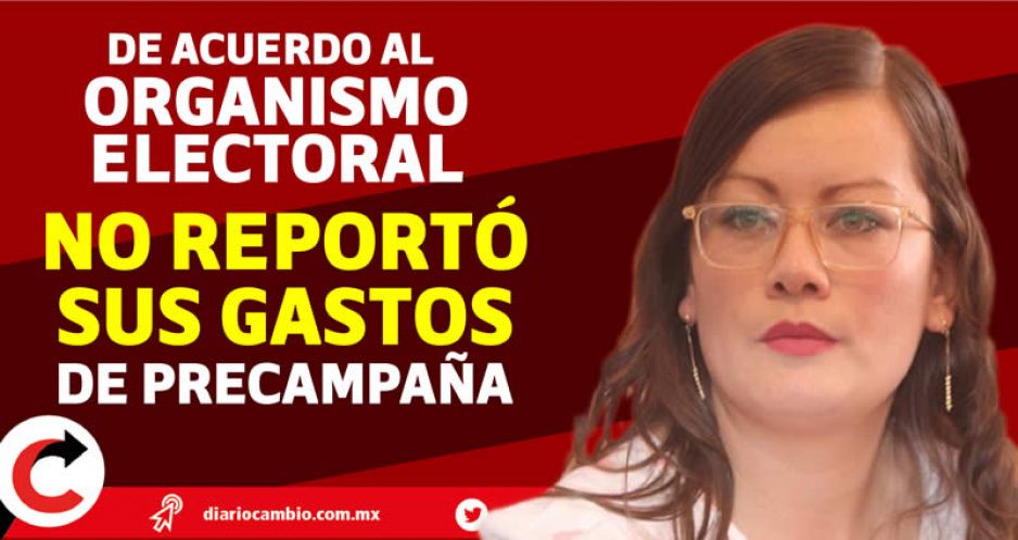 INE saca de la contienda a Félix Salgado y hasta a Julieta Vences por no informar gastos de precampaña