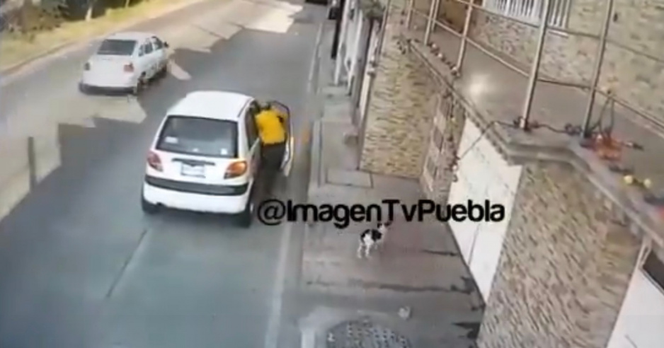 TRISTE VIDEO: Desalmado abandona su perrito en avenida las Torres