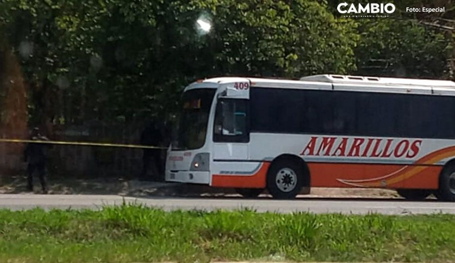 Chofer de autobús asesinó de una puñalada a pasajero; se negó a usar cubrebocas