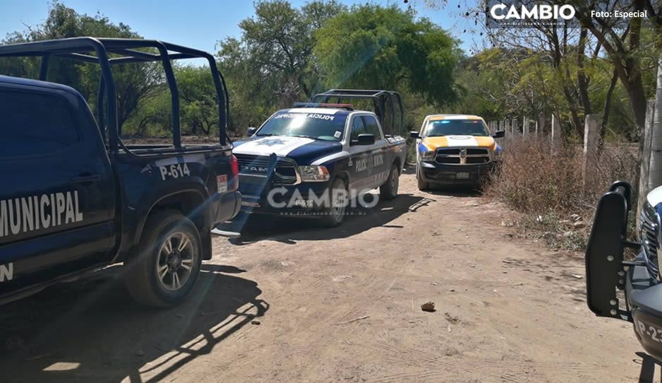 Encuentran cadáver putrefacto en Tehuacán; animales silvestres devoraron su rostro  