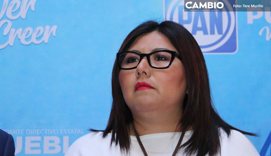 CEN del PAN avala el Geno-cidio: confirma a candidatos a alcaldes y diputados impuestos