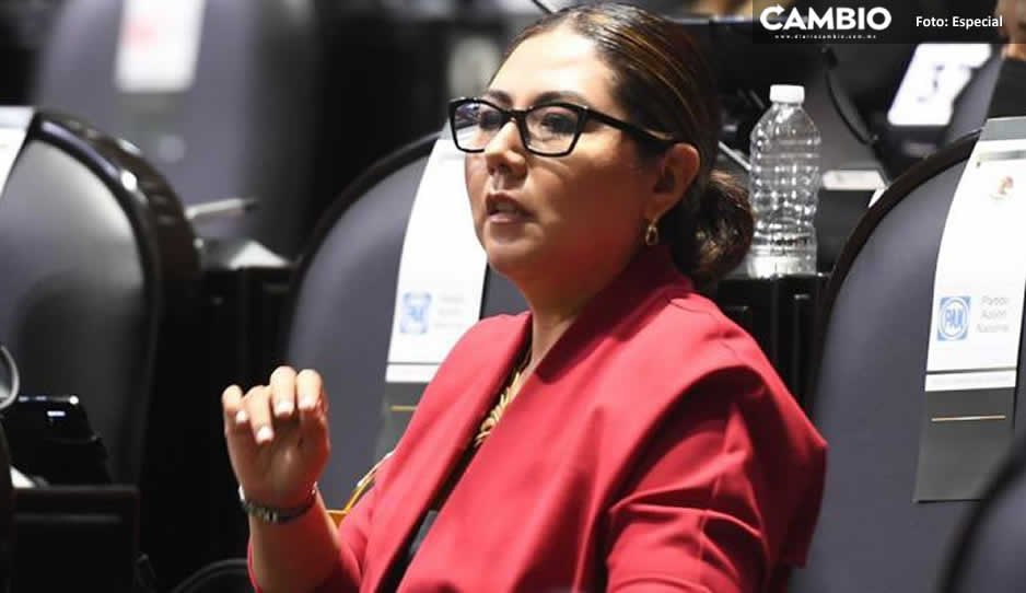Genoveva pide a la Mesa Directiva de la Cámara de Diputados investigar violaciones a su fuero