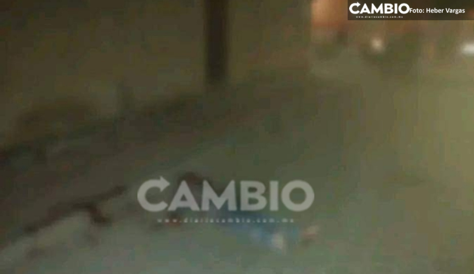 ¡Navidad violenta! Se registraron tres ejecuciones en Ajalpan, Tehuacán y Tepanco de López