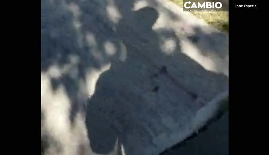 ‘Dame tu celular o te pico’: Así asalta niño de 8 años a sus vecinos (VIDEO)