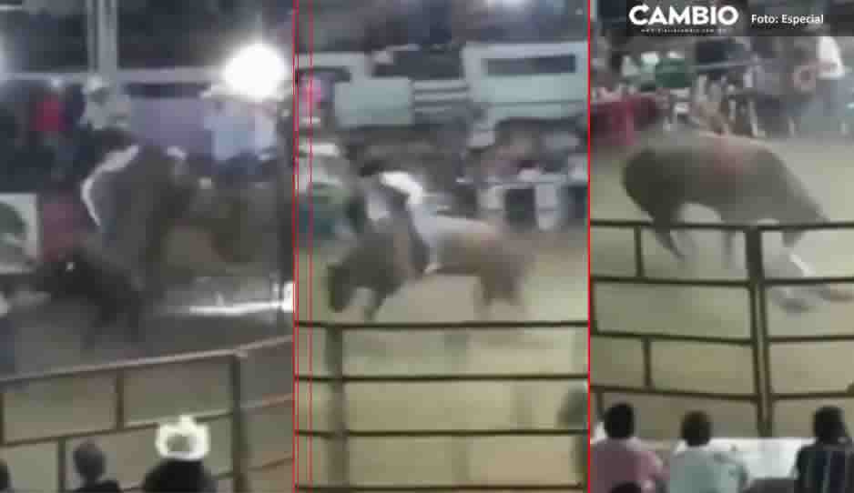 IMPACTANTE VIDEO: Muere jinete tras ser pisoteado brutalmente por un toro en Guerrero