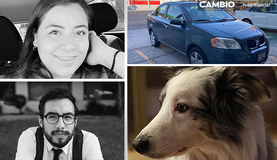 ¡Desgraciados! No sólo mataron a Alan y Camila para robarles su auto y laptop, también se llevaron al perro &#039;Whisky&#039;