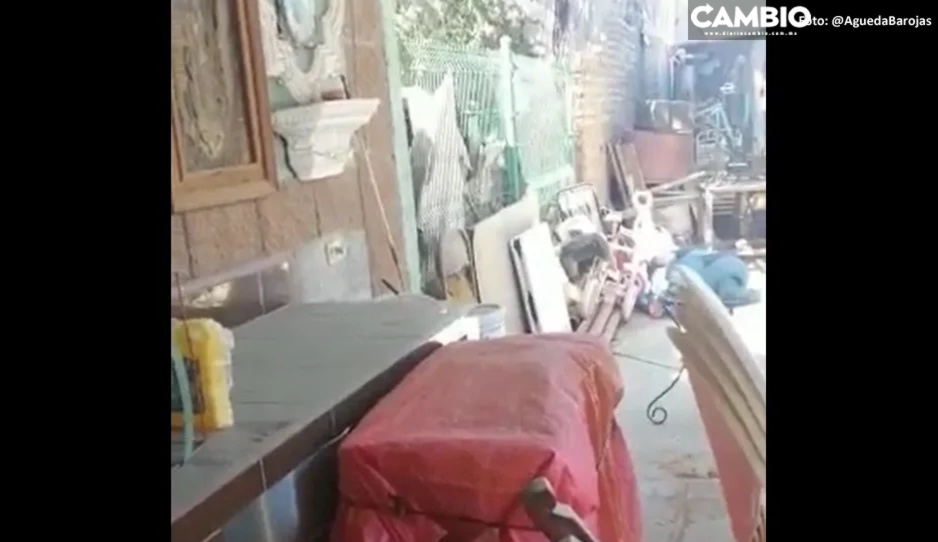¡La vida es bella! Mamá le dice a su hijo que son cuetes mientras viven balacera en Sonora (VIDEO)
