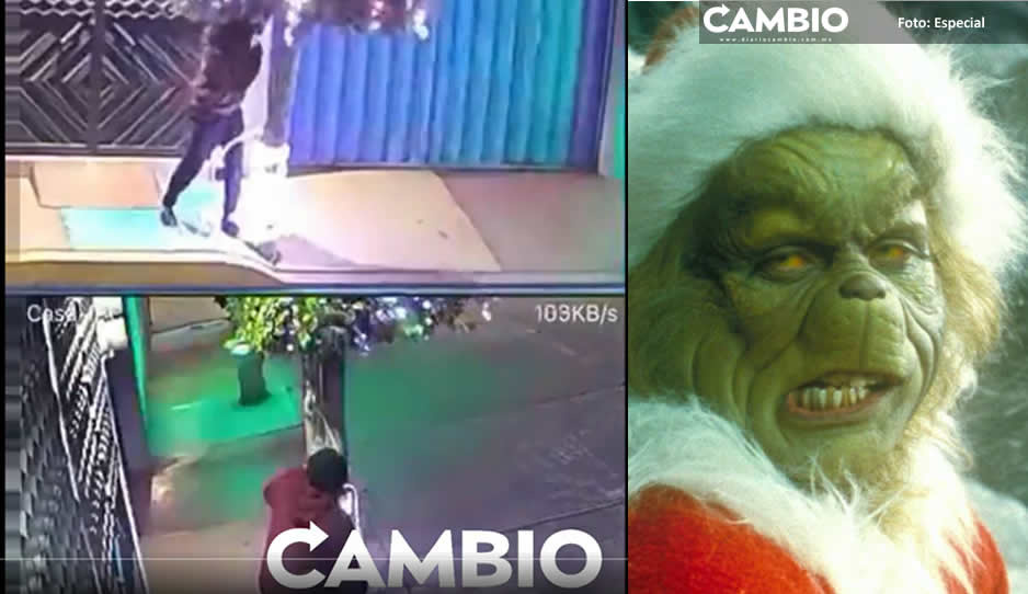 ¡El Grich! Así se robó un hombre las luces de navidad de un arbolito en Texmelucan (VIDEO)