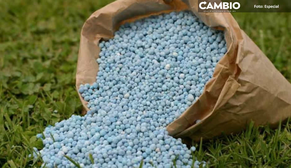 Joven se quita la vida con pastillas de fertilizante en Izúcar de Matamoros