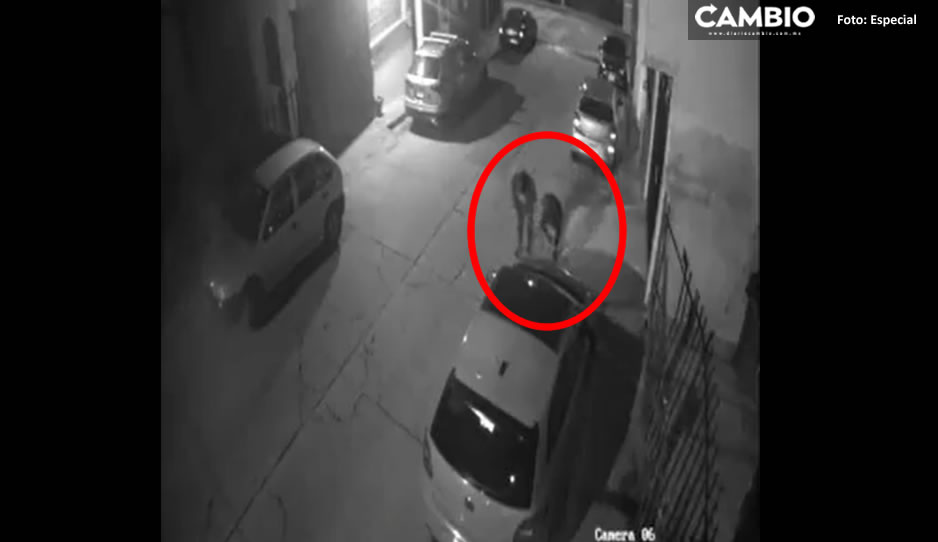 En menos de un minuto, roban faro de un auto en fraccionamiento ‘Jazmines en la María’ (VIDEO)