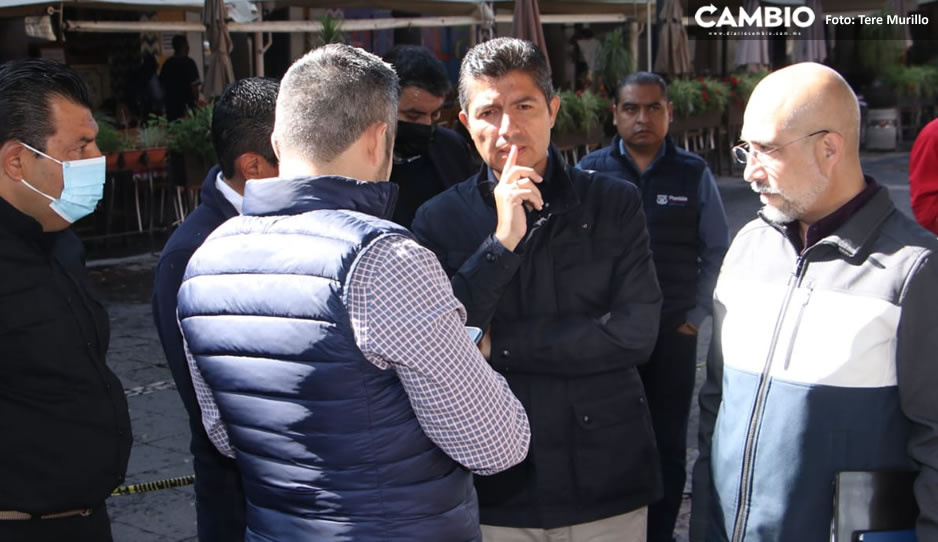 Lalo anuncia tala de 5 árboles del Zócalo, tras muerte de niño aplastado durante tromba