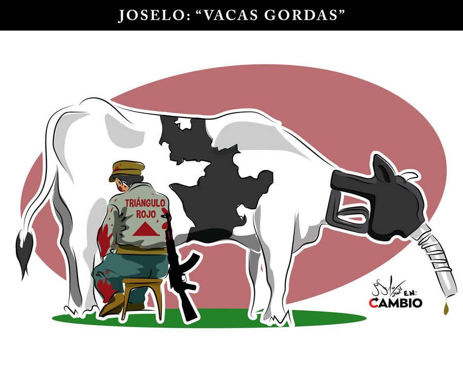 Monero Joselo: VACAS GORDAS
