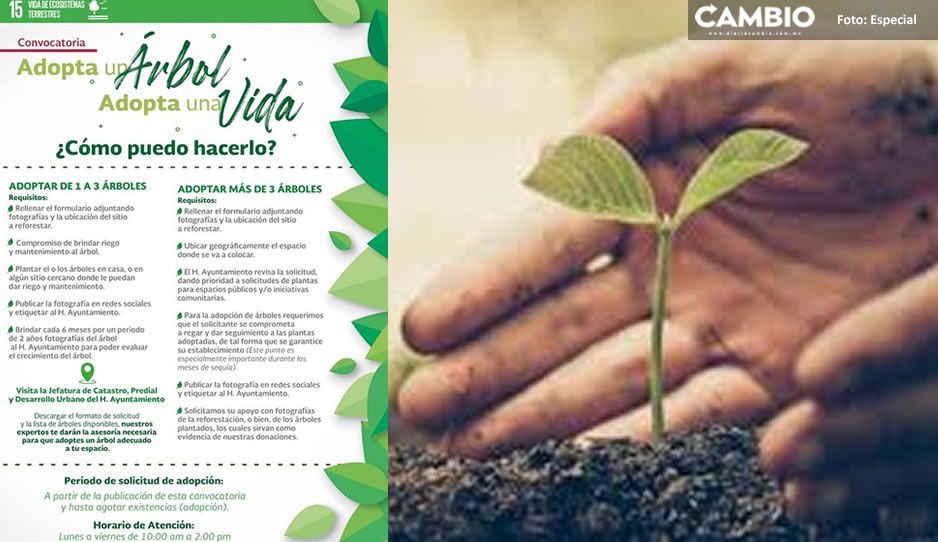 Tecamachalco inicia campaña ‘adopta un árbol’ en favor del medio ambiente