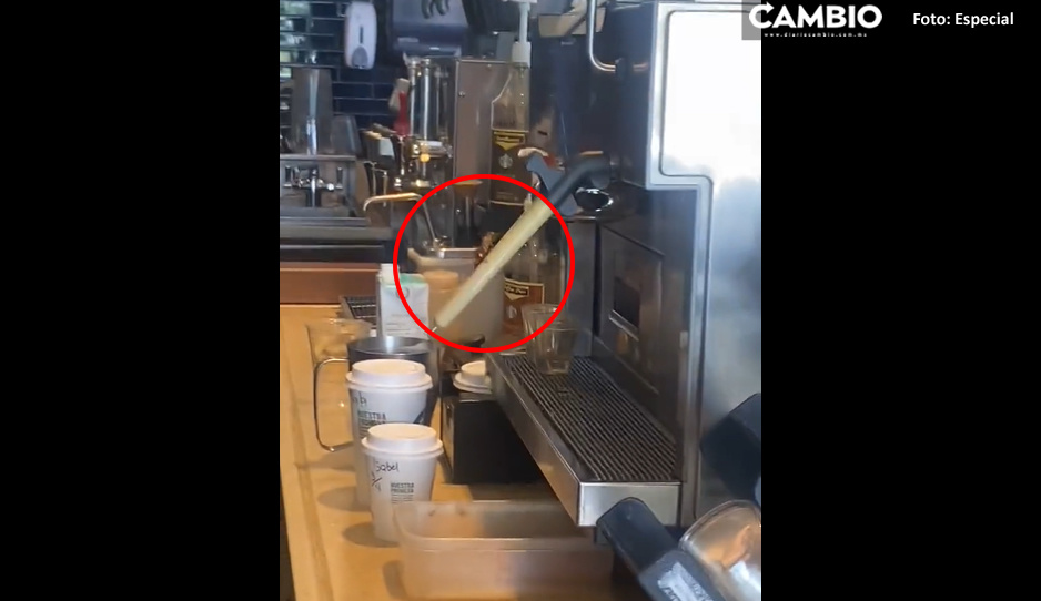 Captan tremenda cucaracha en máquina del Starbucks (VIDEO)