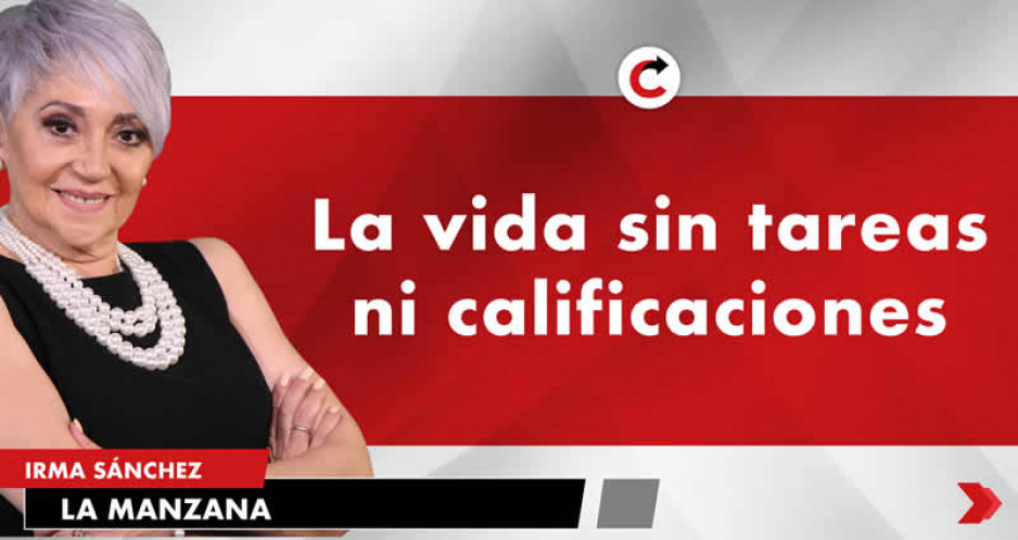 La vida sin tareas ni calificaciones