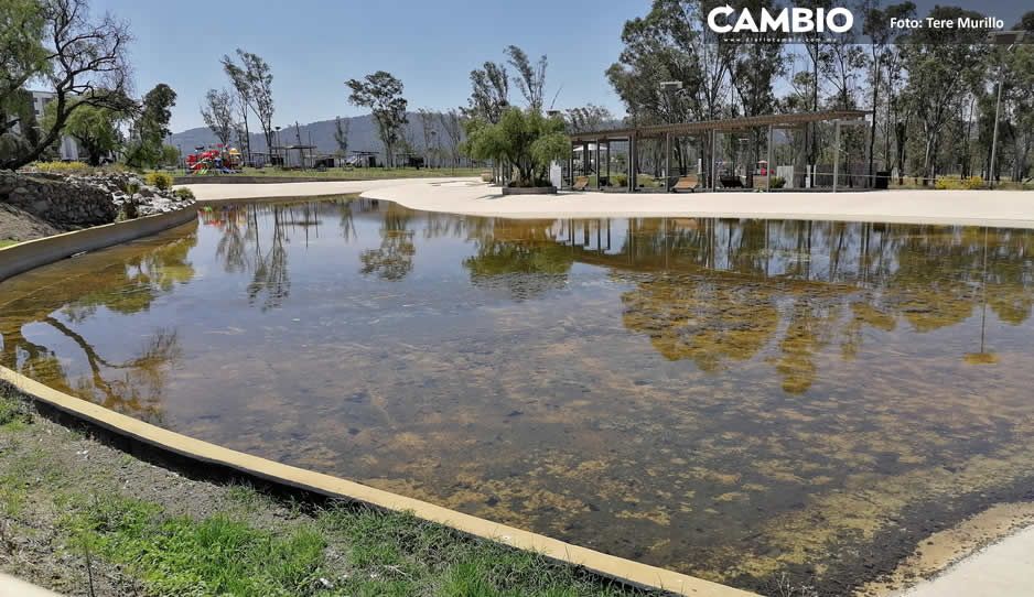 Playa de Amalucan se convertirá en fuente, adelanta Myriam Arabián