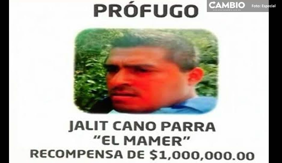 Cae El Mamer en Hueytamalco; capo huachicolero y peligroso delincuente del Triángulo Rojo