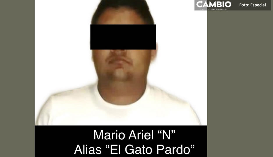 Cae “El Gato Pardo”, jefe de sicarios del CJNG en Veracruz