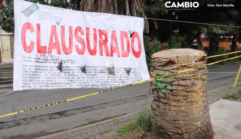 Gobierno estatal también le clausura a Claudia el palmericidio en el 5 de Mayo