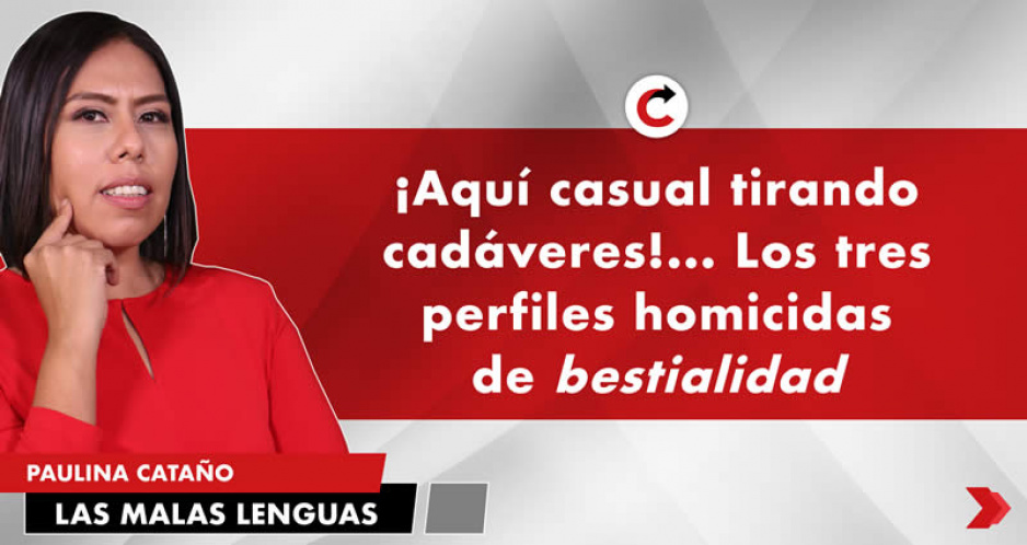 ¡Aquí casual tirando cadáveres!... Los tres perfiles homicidas de bestialidad